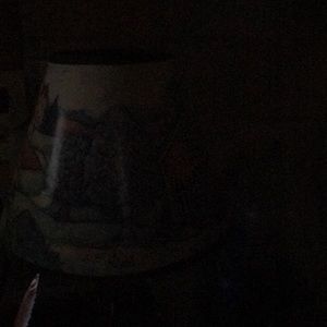 Meet your Posher, Romona